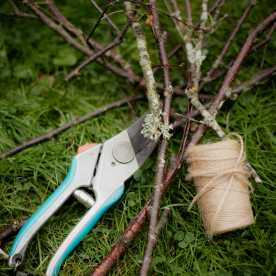 Rita allemansrätten