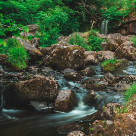 Vad finns i vattnet?